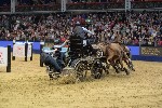 Extreme - 00396
